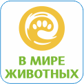 155. В мире животных – это развлекательно-познавательный телеканал о животных, который придется по вкусу всей семье. Вы познакомитесь с самыми яркими представителями фауны нашей планеты, сможете наблюдать за самыми первыми днями их жизни и развитием. Найдете сотни любопытных фактов и удивительные истории о жизни четвероногих друзей, а формат HD поможет создать ощущение полного единения с природой!