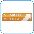 40. Домашние Животные - Познавательно-развлекательный телеканал, посвящённый взаимоотношениям людей и домашних животных. Давным-давно человек приручил первое домашнее животное — собаку. С той поры животный мир разделился на два лагеря: одни звери остались жить в условиях дикой природы, другие — служат человеку. Именно о них — животных, содержащихся в домах на правах питомцев — от собак и кошек до экзотических рыбок и ящериц — рассказывает телеканал.